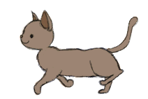 Dancing cat